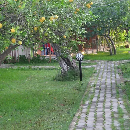 Yildiz Çıralı
