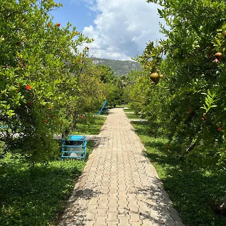 Yildiz Semesterpark Çıralı