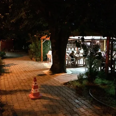 Yildiz Çıralı