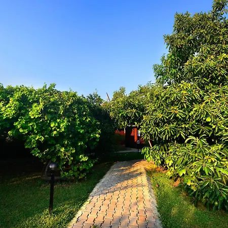 Semesterpark Yildiz Çıralı