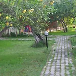 Yildiz Cirali
