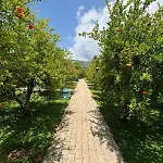 Yildiz Holiday park