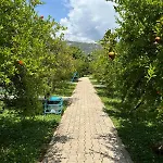 Yildiz Holiday park Cirali
