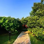 Holiday park Yildiz Cirali