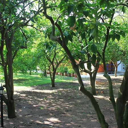 Vakantiepark Yildiz Çıralı