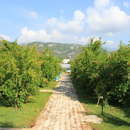 Yildiz Holiday park Cirali