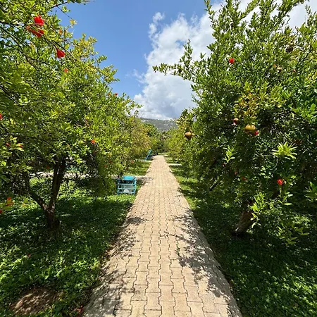 Yildiz Holiday park