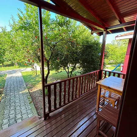 Holiday park Yildiz Cirali