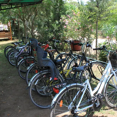 פארק נופש Yildiz *