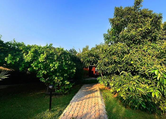 Holiday park Yildiz Cirali